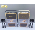 LOA BLUETOOTH KÈM 2 MICRO M300