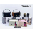 Loa Bluetooth Kèm 2 Micro SU-YOSD YS-603