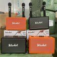 Loa Bluetooth Kèm 2 Micro Peterhot A109W