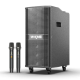 LOA KÉO KARAOKE W-KING K20 (BASS 8, 2 MICRO, 260W)