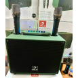 Loa Xách Tay Di Động POL.Z P10 (Kèm 2 Micro)