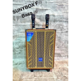 LOA KÉO KARAOKE SUNYBOX F10 (BASS 10, 2 MICRO)