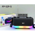 Loa Bluetooth FM Radio EPE FP-529-S