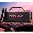LOA BLUETOOTH KÈM 2 MICRO YIBOLANG X49/X49PLUS