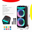 Loa Karaoke NDR-1908 (Bass đôi 8, 2 Micro không dây)
