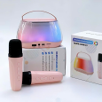 LOA BLUETOOTH KÈM 2 MICRO P13