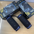 LOA BLUETOOTH W-KING BT226