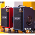 LOA KARAOKE W-KING K21SE (2 MICRO, 120W)
