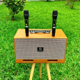 Loa Karaoke Xách Tay Nanomax X-20 Bass Đôi 20cm 380w