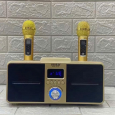 Loa karaoke SDRD SD-309