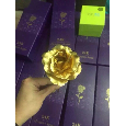Hoa hồng tình yêu
