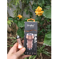 Sạc ô tô Car Charger with Steel Hammer 2.4A – C3 X live