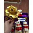 Hoa hồng 2016 rose + gấu