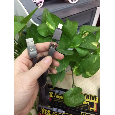 Cap Cable 2in1 RC-042t Remax 1M