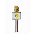 A9 Míc hát micro karaoke Loa kèm micro 3 trong 1 kết nối Bluetooth - Mic kèm loa