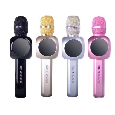 YS-14 Míc hát micro karaoke Loa kèm micro 3 trong 1 kết nối Bluetooth - Míc hát micro karaoke
