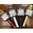 WS-1818 Míc hát micro karaoke Loa kèm micro 3 trong 1 kết nối Bluetooth - Míc hát micro karaoke