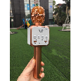 Micro kèm Loa Bluetooth M5S