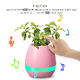 Loa Bluetooth Nhạc Chậu Hoa cho Văn Phòng Nhà
